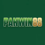 PakWin88 Game